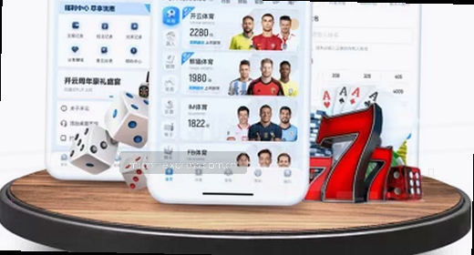 超高清影像 灵动岛交互